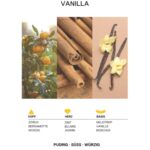 Apa de toaleta Vanilla Bettina Barty 50ml