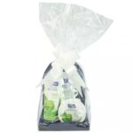 Set cadou Elina aloe vera 400ml