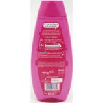 Sampon Schauma dama Fresh It Up 400ml(a)