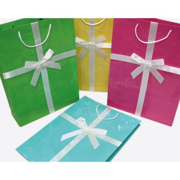 Punga cadou diverse culori 25x8.5x34.5cm(a)
