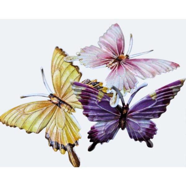 Set fluturi cu clips 2buc(a)