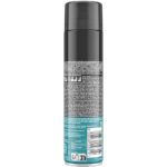 Spuma de ras Gillette Sensitive 250ml2